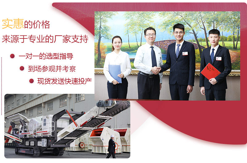 專業廠家,快速投產